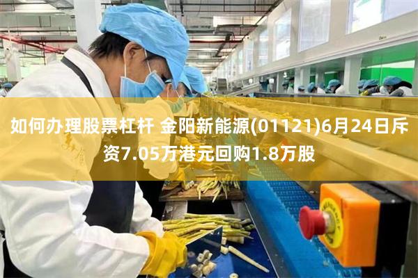 如何办理股票杠杆 金阳新能源(01121)6月24日斥资7.05万港元回购1.8万股