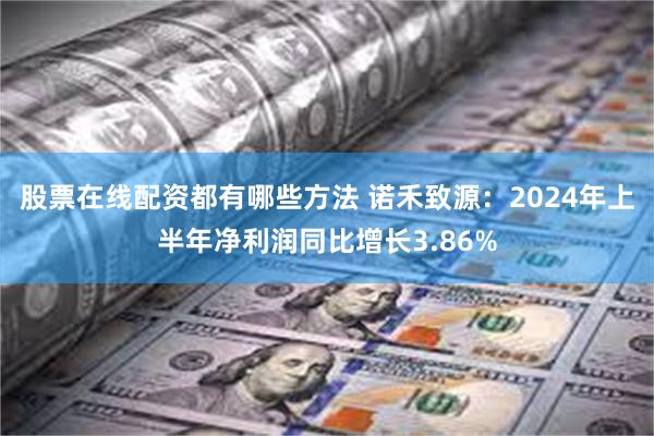 股票在线配资都有哪些方法 诺禾致源：2024年上半年净利润同比增长3.86%