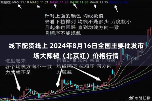 线下配资线上 2024年8月16日全国主要批发市场大辣椒（北京红）价格行情