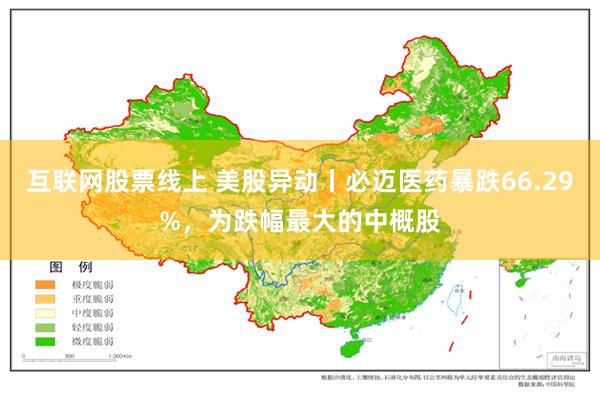 互联网股票线上 美股异动丨必迈医药暴跌66.29%，为跌幅最大的中概股