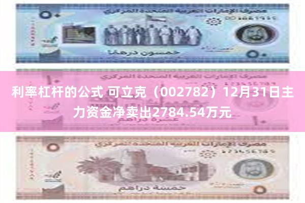 利率杠杆的公式 可立克（002782）12月31日主力资金净卖出2784.54万元