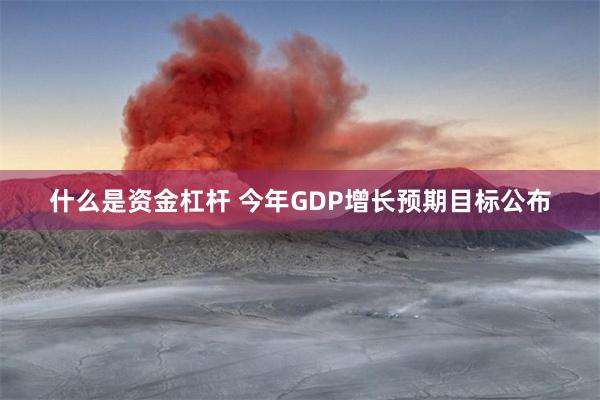 什么是资金杠杆 今年GDP增长预期目标公布